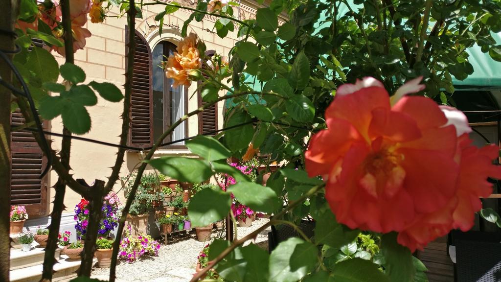 La Chicca B&B Siena Zewnętrze zdjęcie
