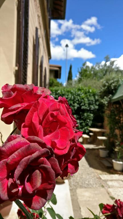 La Chicca B&B Siena Zewnętrze zdjęcie